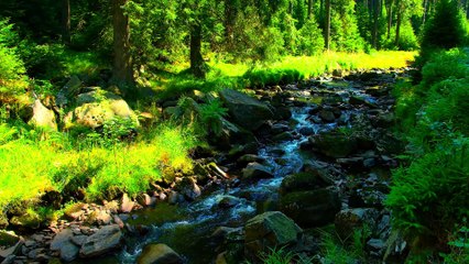 Dolby Vision HDR + Relaxing Soundtrack 3