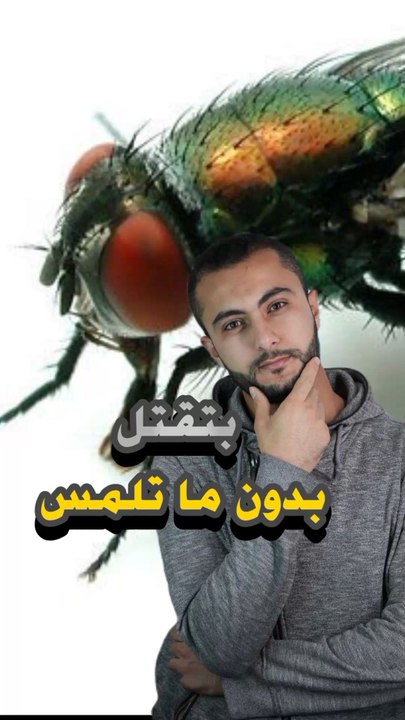 ذبابة بتقتل بدون ما تلمس ضحيتها؟https://psce.pw/7rpzsz#النواة #الذبابة#Alnawa #dubai #nationalgeographic #Botfly #trending #travel #nature #wildlife