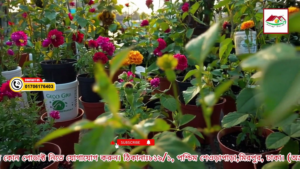 ✅ নতুনরা Geo Grow Bag-এ কোন গাছ লাগাবেন? সহজ গার্ডেনিং টিপস | Beginner Gardening Guide Bangla