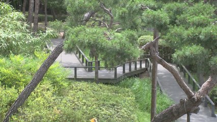 [서울] 남산·한강 배경으로 결혼...서울시, 공공예식장 40곳 추가 / YTN