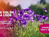 Agenda des Sorties du 20 au 22 juin 2025 - Agenda des sorties - TL7, Télévision loire 7