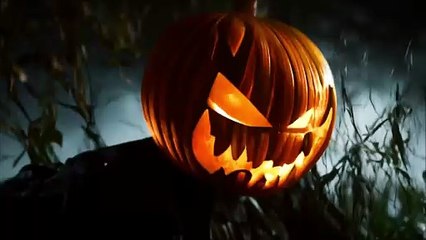 video24