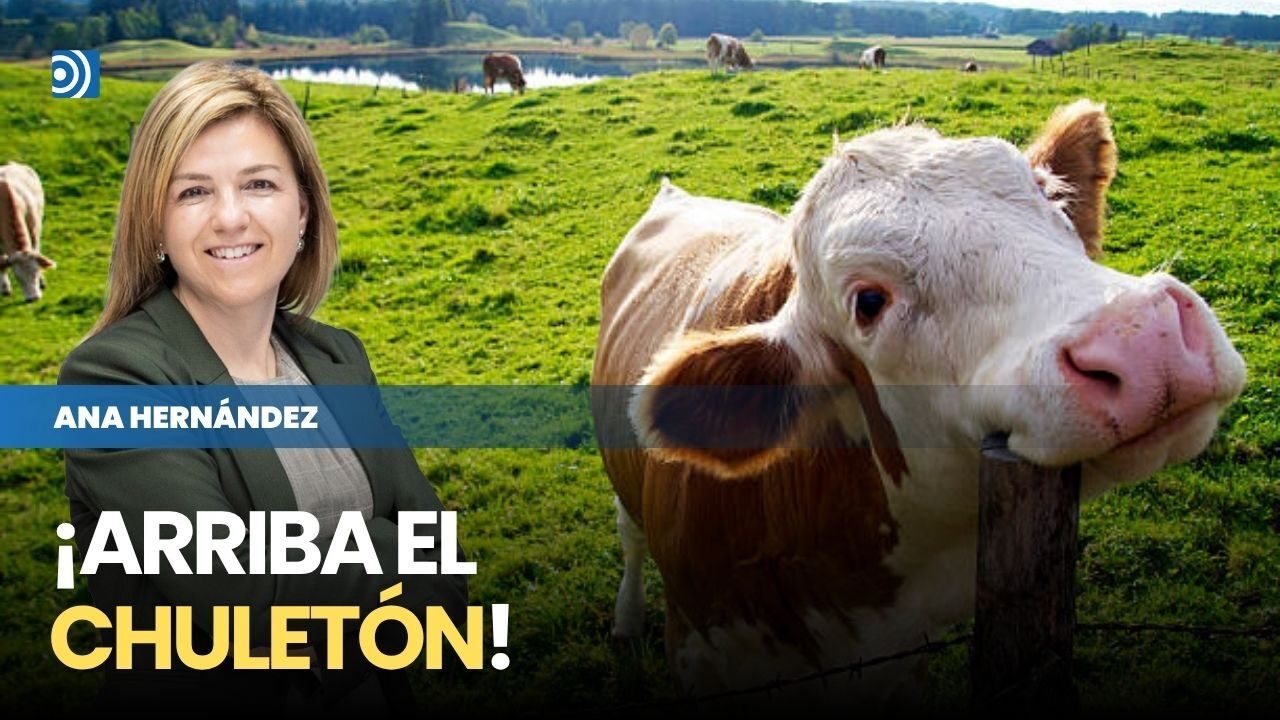 ¿Las vacas contaminan el planeta? Lo que Greta Thunberg no te contó sobre las vacas