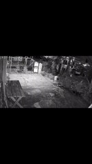 Ladrón ingresa a vivienda en Puerto Cortés