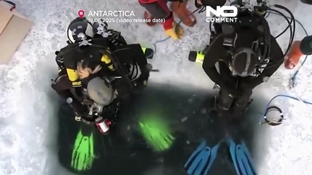 Aquecimento dos mares ameaça ecossistemas da Antártida, alertam cientistas