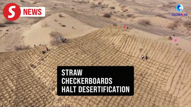 China uses straw checkerboard barriers to combat desertification