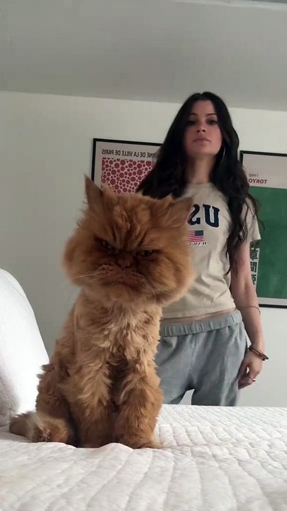 Is this trend over now  follow @gabyscaringe for more cat vids #kesha #fyp #trend #viral