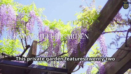 Discover 15 incredible places in Japan that look too magical to be real