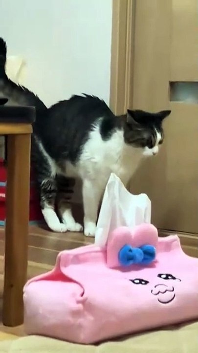 That's not marking, that's power washing