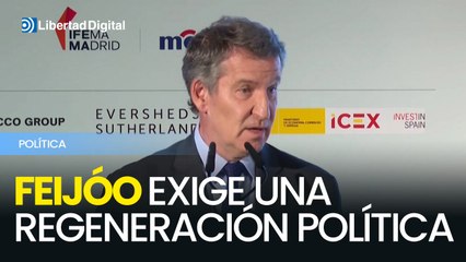 Feijóo exige limpiar la política tras el daño del Gobierno
