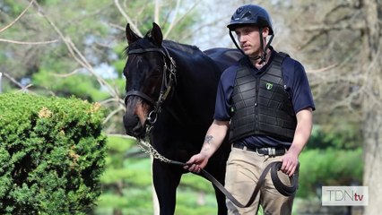 TDN Stallions: Gunite