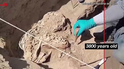 Archaeologists Unearth 3,800-Year-Old Human Remains in Peru.mp4