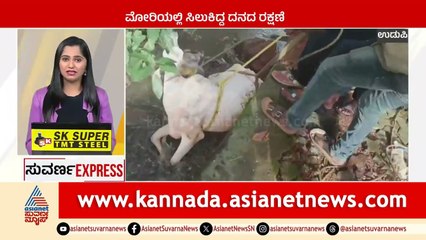 ಮೋರಿಯಲ್ಲಿ ಸಿಲುಕಿದ್ದ ದನದ ರಕ್ಷಣೆ | Suvarna News Express | Kannada News | Suvarna News