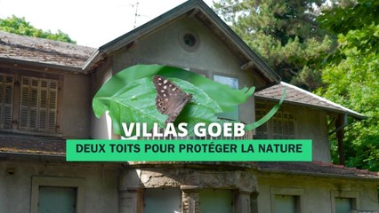 Villas Goeb : deux toits pour protéger la nature