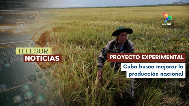 Cuba y Vietnam realizan cooperación agrícola
