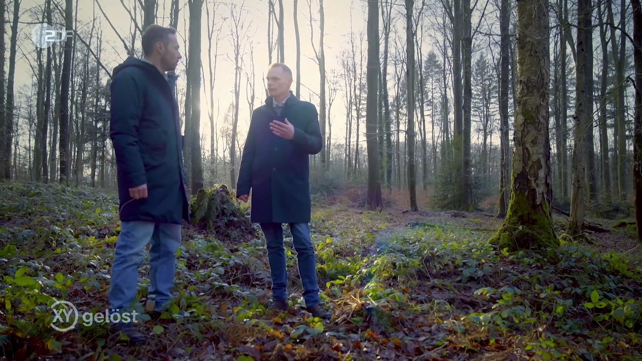 Aktenzeichen XY gelöst - Millionenraub in Berlin vom 11.06.2025 (ganze Sendung)