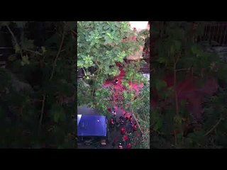 Veja ataque de manifestantes petistas ao prédio de Cármen Lúcia