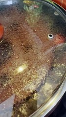 بس اسمعوا صوت المحاشي وهي بتغلي... هالصوت لحالو بيكفي لتشهي 🤤🔥 ريحة المحشي وصلتكم؟