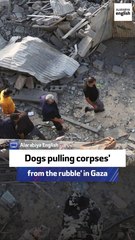 UN Relief Chief Tom Fletcher shares a stark visual description of devastation in Gaza.