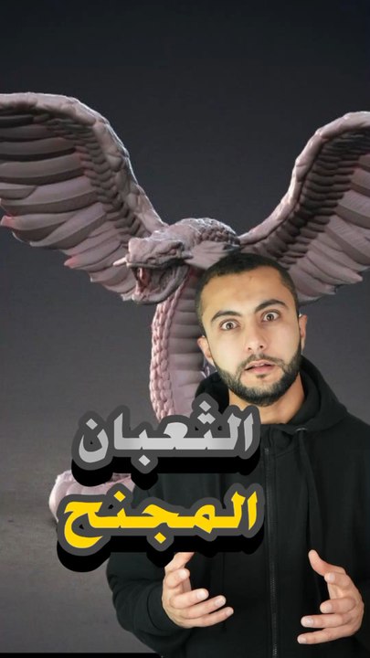 👹الثعبان المجنح – هل وُجد فعلاً؟https://psce.pw/7rqukt#النواة #الثعبان_المجنح#Alnawa #dubai🇦🇪 #nationalgeographic #dubailife #trending #travel #nature #wildlife