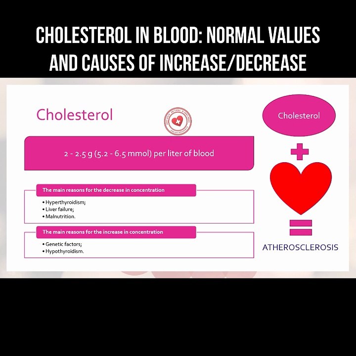 Cholesterol in blood: normal values and causes of increase/decrease