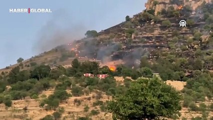 Tarihi kale eteklerindeki yangın kontrol altında