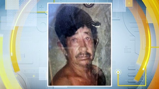 Tragédia Rural: Trabalhador Aposentado Perde a Vida após Ataque de Abelhas - Uma Conversa comovente com a Viúva