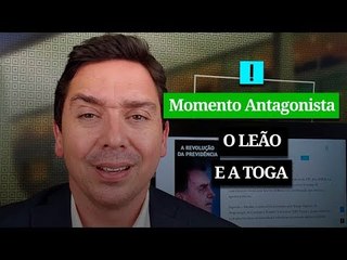 MOMENTO ANTAGONISTA | O LEÃO E A TOGA