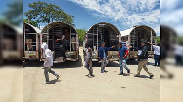 Migración detiene 1,738 haitianos indocumentados en operativos