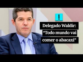 "Todo mundo vai comer o abacaxi" diz Delegado Waldir sobre reforma