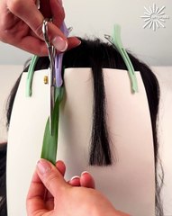 Technique on how to learn to cut hair