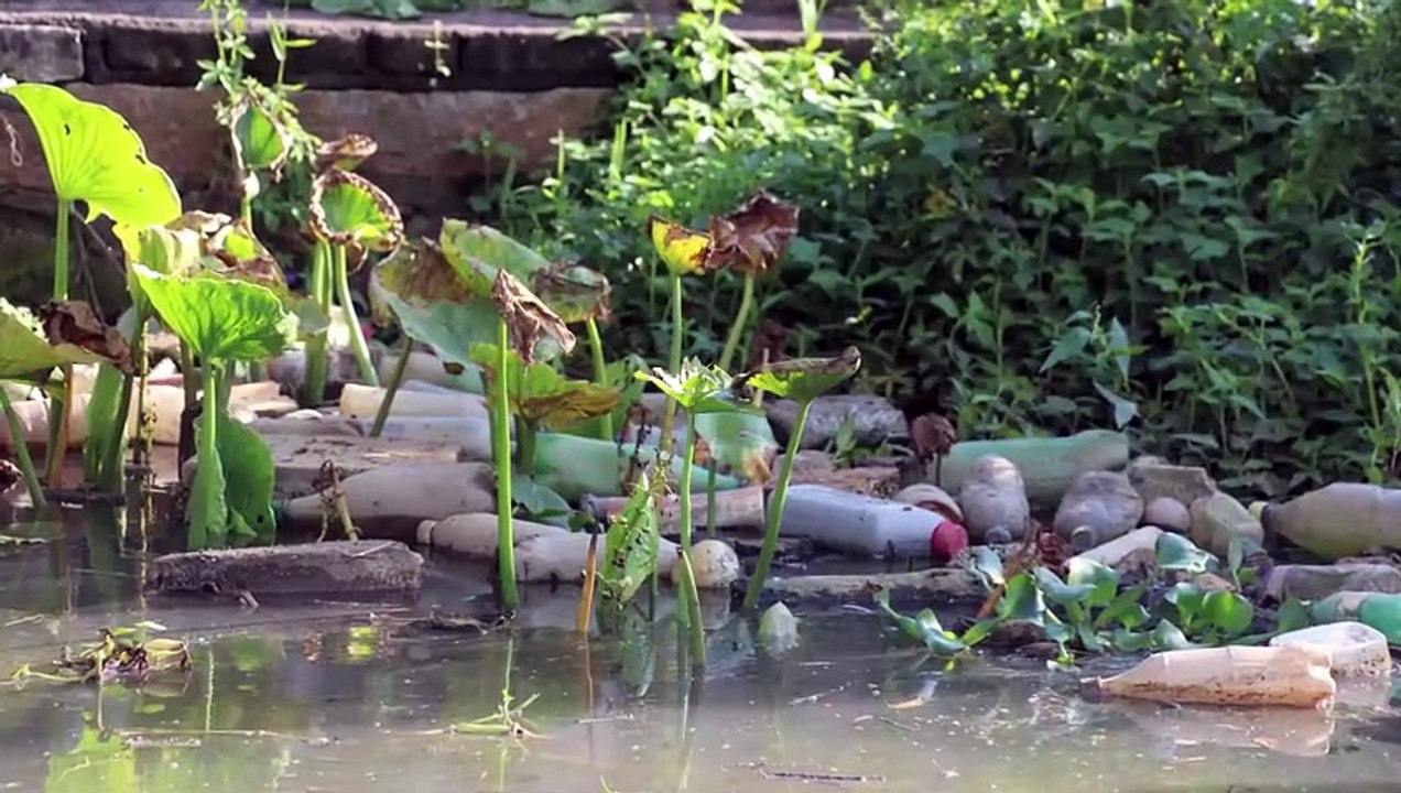 O Marinheiro do Rio Cachoeira   Trailer