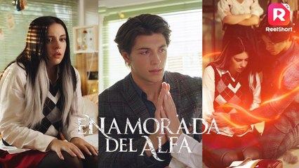 Enamorada del Alfa 💥FULL SHORT DRAMA | English Sub