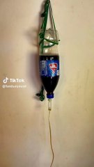 Funny video, tention relief, comedy, be happy.