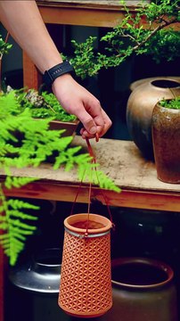 Apartment Gardening Made Easy: Smart Indoor Gardening for Small Spaces