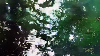 The Garden of Words is Pure Poetry in Motion 🌧️ |