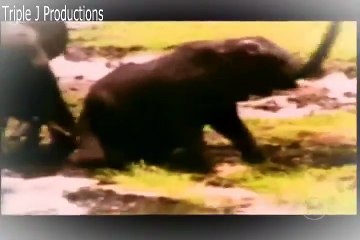Globe Trekker - S1E3 - "Africa: Zimbabwe, Botswana & Namibia"