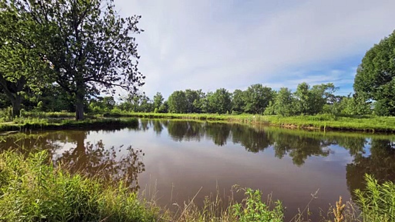 Acacia Reservation Beautiful Landscape Photography 4K Nature Slideshow