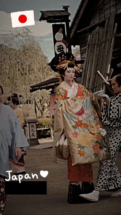 Oiran , Tayū , Yūjo 花魁 , 遊女 , 太夫 traditional JAPAN #oiran #花魁 #maiko #yūjo #遊女 #japan