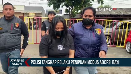 Polisi Tangkap Penipu Modus Adopsi Bayi di Palmerah Jakarta, Pelaku Sudah Tipu 5 Korban