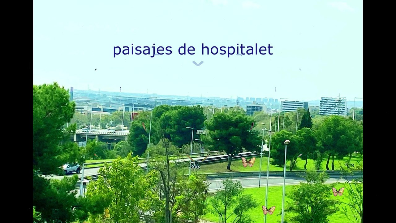 Marisa Gallardo  Hospitalet desde el cielo