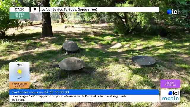 20/06/2025 - ici matin par ici Roussillon en vidéo