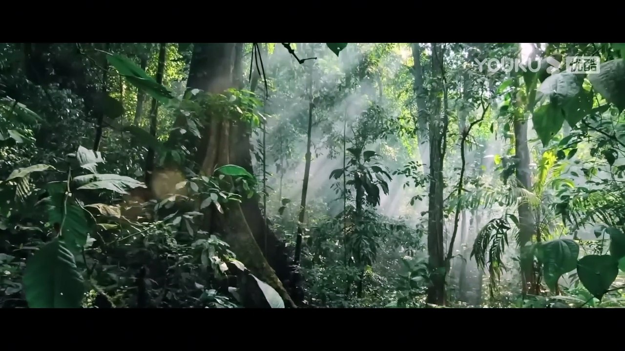 OMG The bus entered the snake's territory and made the snake angry! ｜ Snake 3 ｜ YOUKU MONSTER MOVIE