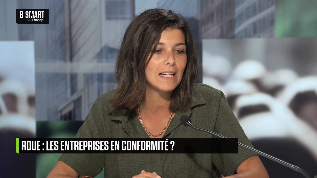 SMART IMPACT - Structurer la filière bois face aux défis environnementaux