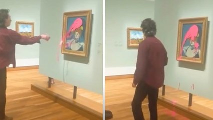 Climate change activist throws pink paint at Picasso painting