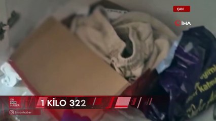 Çanakkale’de ayakkabı kutusu içinde piyasa değeri 1 milyon TL olan bonzai yakalandı