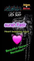 Surah Fatir, beautiful Quran recitation, #viralshorts #20kfollower #foryou