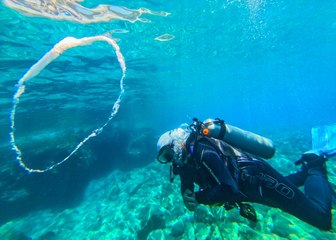 Fethiye’nin renkli su altı dünyası: Dalış turlarıyla keşfediliyor!