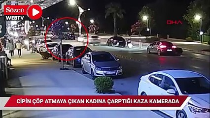 Cipin çöp atmaya çıkan kadına çarptığı kaza