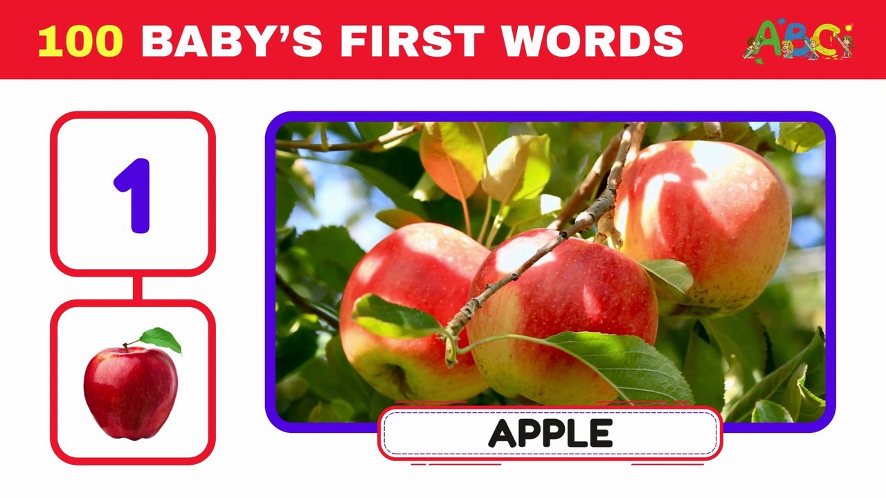 100 First Words for Babies and Toddlers| Learn to Talk for Babies | Toddlers First Words